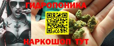 ГАЛЛЮЦИНОГЕННЫЕ ГРИБЫ Новокубанск