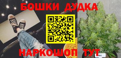 ГАЛЛЮЦИНОГЕННЫЕ ГРИБЫ Обь