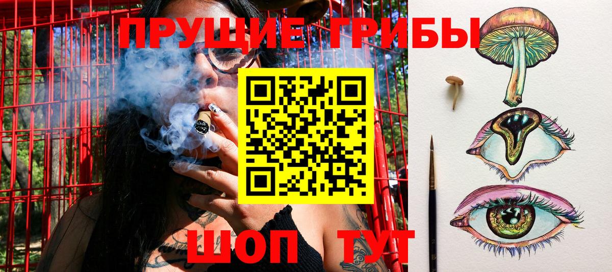 Галлюциногенные грибы GOLDEN TEACHER Волгоград